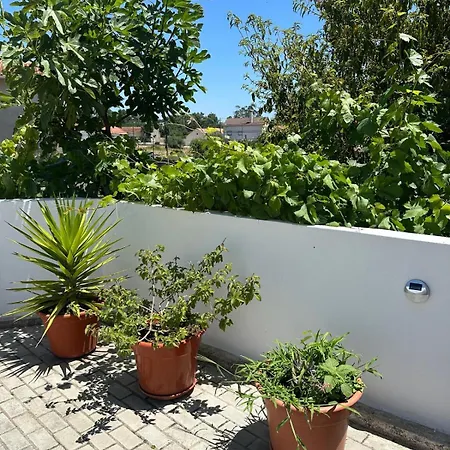 Appartement Casa Cores *